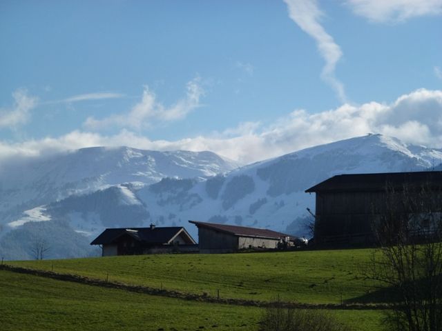 Wiesingbauer