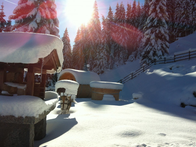Entwies Alm