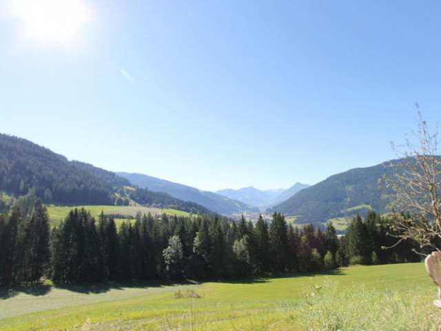 Niedermaisgut