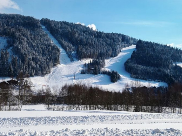Niedermaisgut